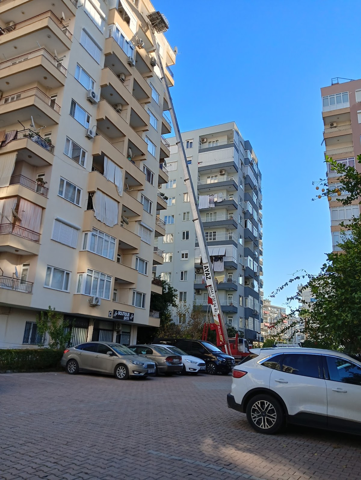 Ayaz Evden Eve Yerel İşletme fotoğrafı 1