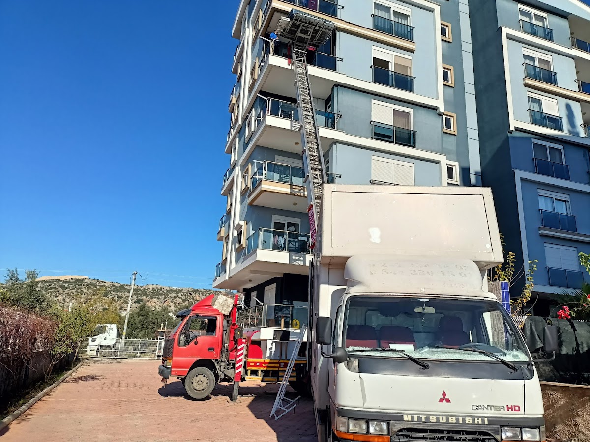 Ayaz Evden Eve Yerel İşletme fotoğrafı 3