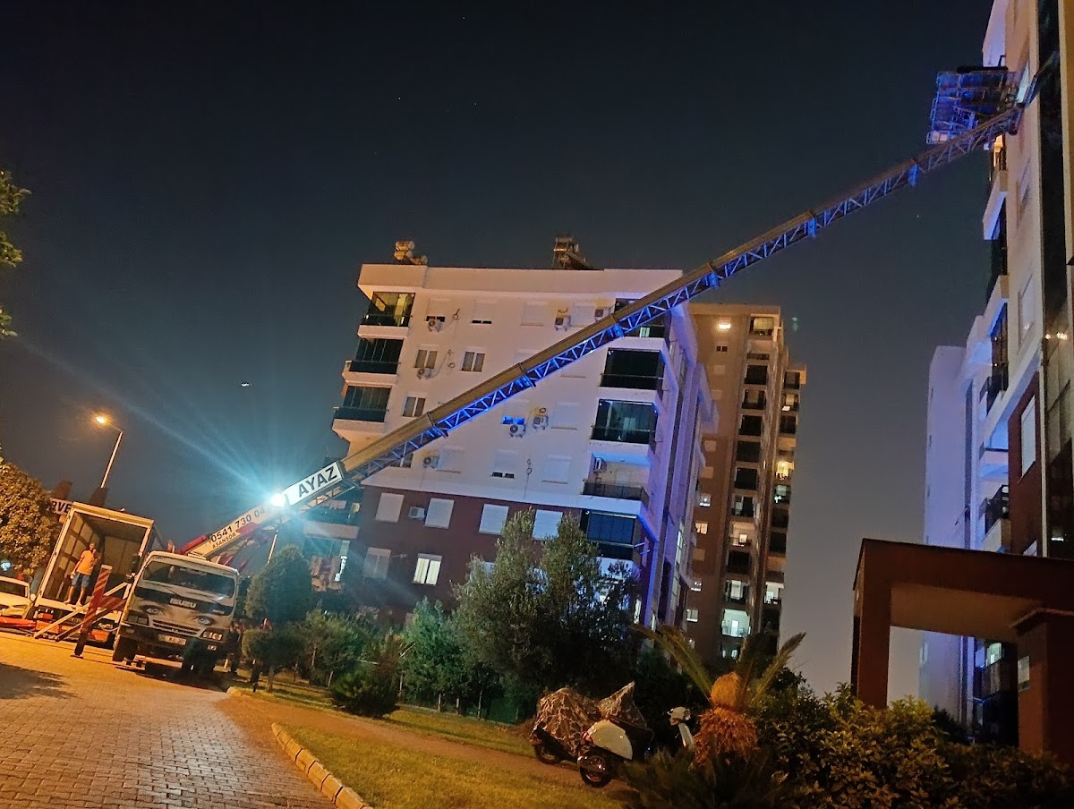 Ayaz Evden Eve Yerel İşletme fotoğrafı 8